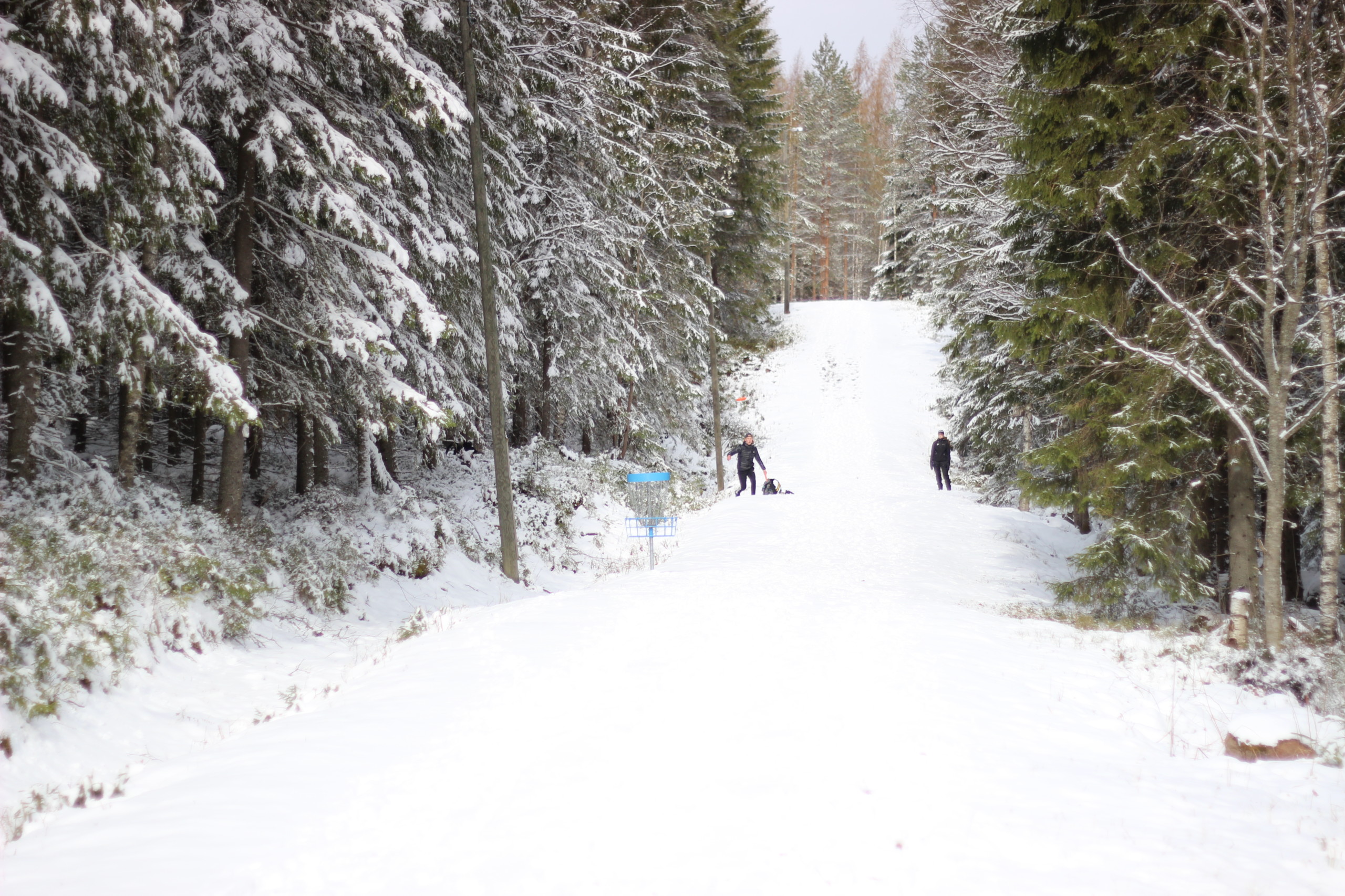 Luminen metsämaisema, jonka keskellä väylä ja sininen kori, taustalla pari henkilöä kaukana seisomassa