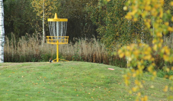 Keltainen frisbeegolfkori nurmikolla, taustalla pusikkoa, etualalla ruskassa olevan koivun oksia.