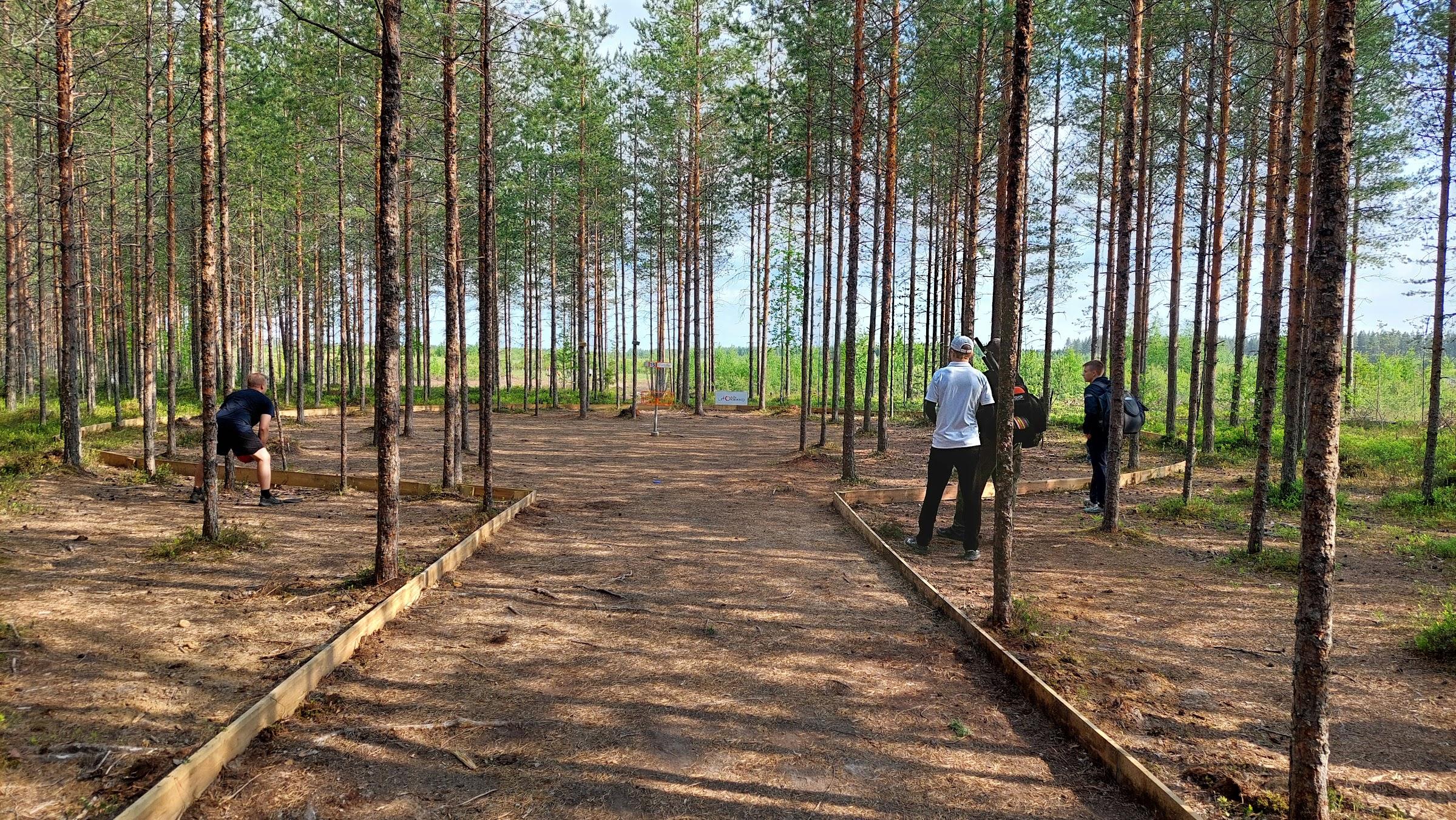 Saukkoriipi ja Kallio nousivat kärkeen Joensuussa